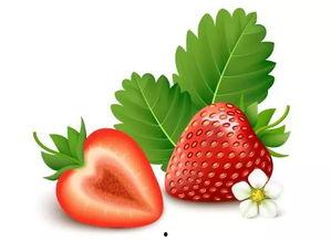 污污草莓视频,揭秘网络短视频的诱惑与风险